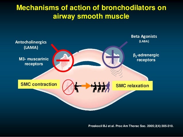 Dual bronchodilation in COPD