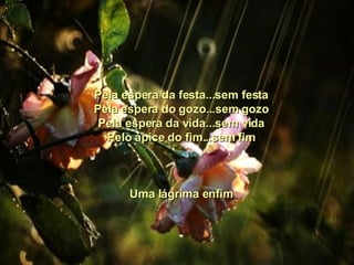 Pela espera da festa...sem festa Pela espera do gozo...sem gozo Pela espera da vida...sem vida Pelo ápice do fim...sem fim   Uma lágrima enfim 