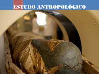 ESTUDO ANTROPOLÓGICO
 