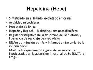 Hepcidina (Hepc)
• Sintetizado en el hígado, excretado en orina
• Actividad microbiana
• Prepetido de 84 aa
• Hepc20 y Hepc25 – 8 cisteinas enslaces disulfuro
• Regulador negativo de la absorcion de Fe dietario y
  liberacion de reciclaje de macrofago
• RNAm es inducido por Fe y inflamacion (anemia de la
  inflamacion)
• Modula la expresion de alguna de las moleculas
  involucradas en la absorcion intestinal de Fe (DMT1 e
  Lreg1
 