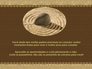 A Última Pedra Você ainda tem muitas pedras preciosas no coração: muitos momentos lindos para viver e muitos erros para cometer.  Aproveite as oportunidades e curta plenamente a vida.  Curta os passarinhos. Eles são os presentes do universo para você!  