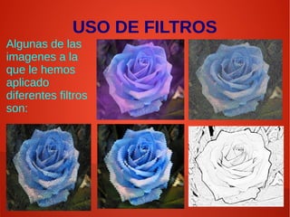 USO DE FILTROS
Algunas de las
imagenes a la
que le hemos
aplicado
diferentes filtros
son:
 