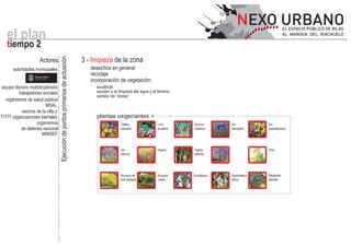 el plan
  tiempo 2
                                          Ejecución de puntos primarios de actuación
                          Actores                                                      3 - limpieza de la zona
      autoridades municipales                                                             desechos en general
                  Buenos Aires
                                                                                          reciclaje
                  Gobierno de la Ciudad
                                                                                          incorporación de vegetación:
equipo técnico multidiciplinario                                                            acuáticas
         trabajadores sociales                                                              ayuden a la limpieza del agua y el terreno
                                                                                            cambio de “olores”
  organismos de salud pública
                        MSAL
           vecinos de la villa y
     organizaciones barriales                                                               plantas oxigenantes
                   organismos                                                                            Caltha                Lirio      Acorus       Iris         Iris
           de defensa nacional                                                                           palustris             acuático   calamus      laevigata    pseudacorus
                      MINDEF


                                                                                                         Iris                  Papiro     Typha                     Pino
                                                                                                         sibirica                         latifolia




                                                                                                         Accacia de            Accacia    Eucaliptus   Asphodelus   Stratiotes
                                                                                                         tres espigas          cyano                   albus        aloides
 