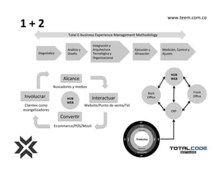Consultoria TEEM  Diseño, Tecnología e Implementación de estrategia omnicanal
