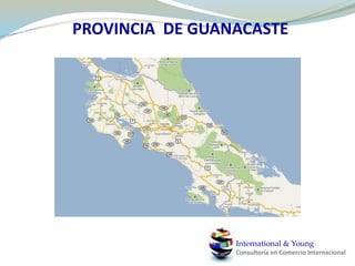 FASE INICIAL (2011) Constitución de la empresa : S.A.
