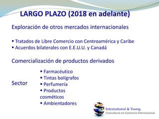  Posibilidad obtención de ayudas públicas.International & YoungConsultoría en Comercio Internacional