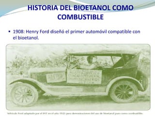 PROVINCIA  DE GUANACASTEInternational & YoungConsultoría en Comercio Internacional