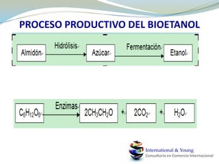  AmbientadoresInternational & YoungConsultoría en Comercio Internacional