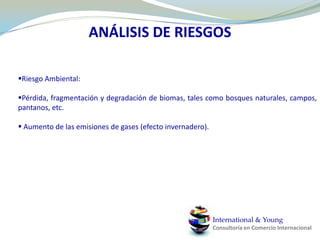 RendimientoInternational & YoungConsultoría en Comercio Internacional