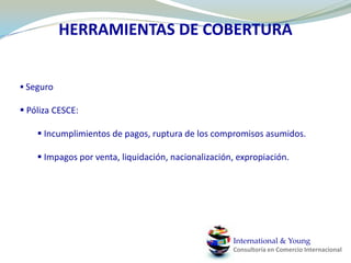 OCTANAJEInternational & YoungConsultoría en Comercio Internacional