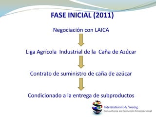  Ubicación geográficaInternational & YoungConsultoría en Comercio Internacional