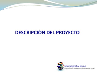 DESCRIPCIÓN DEL PROYECTO International & YoungConsultoría en Comercio Internacional 