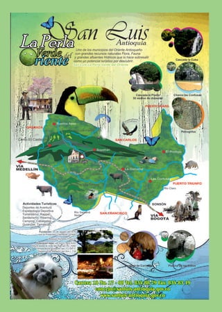 Ultima revista gaceta 2011