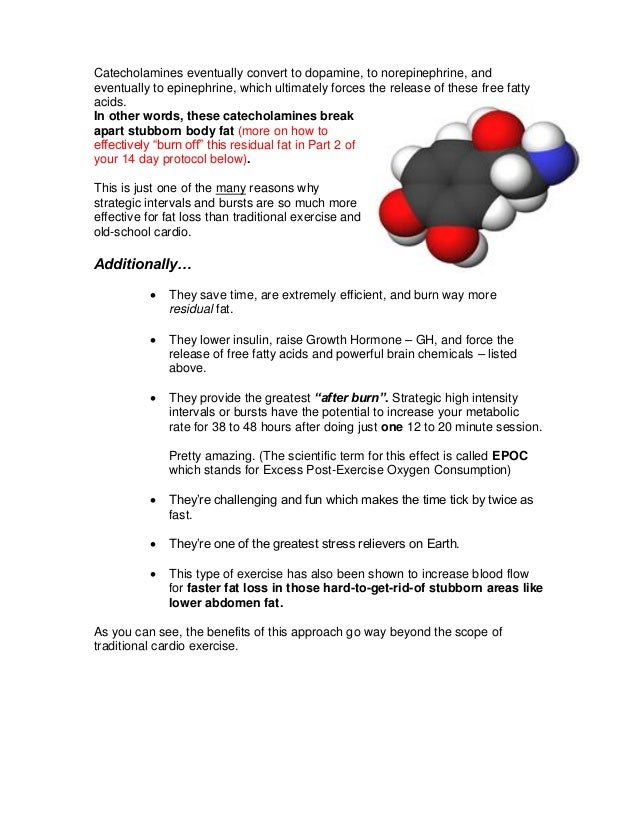 Garcinia cambogia ahc image 1