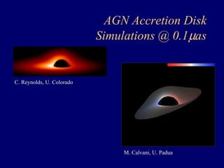 AGN Accretion Disk 
Simulations @ 0.1μas 
C. Reynolds, U. Colorado 
M. Calvani, U. Padua 
 
