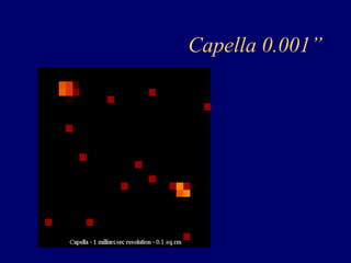 Capella 0.001” 
 