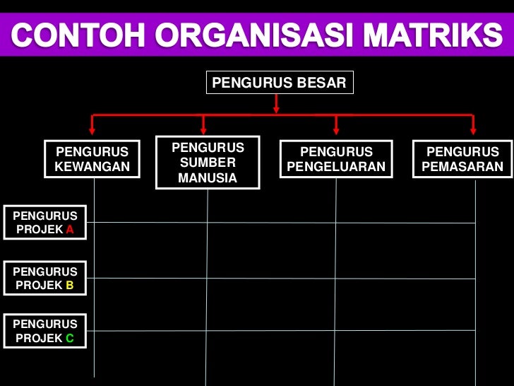 (pengorganisasian)