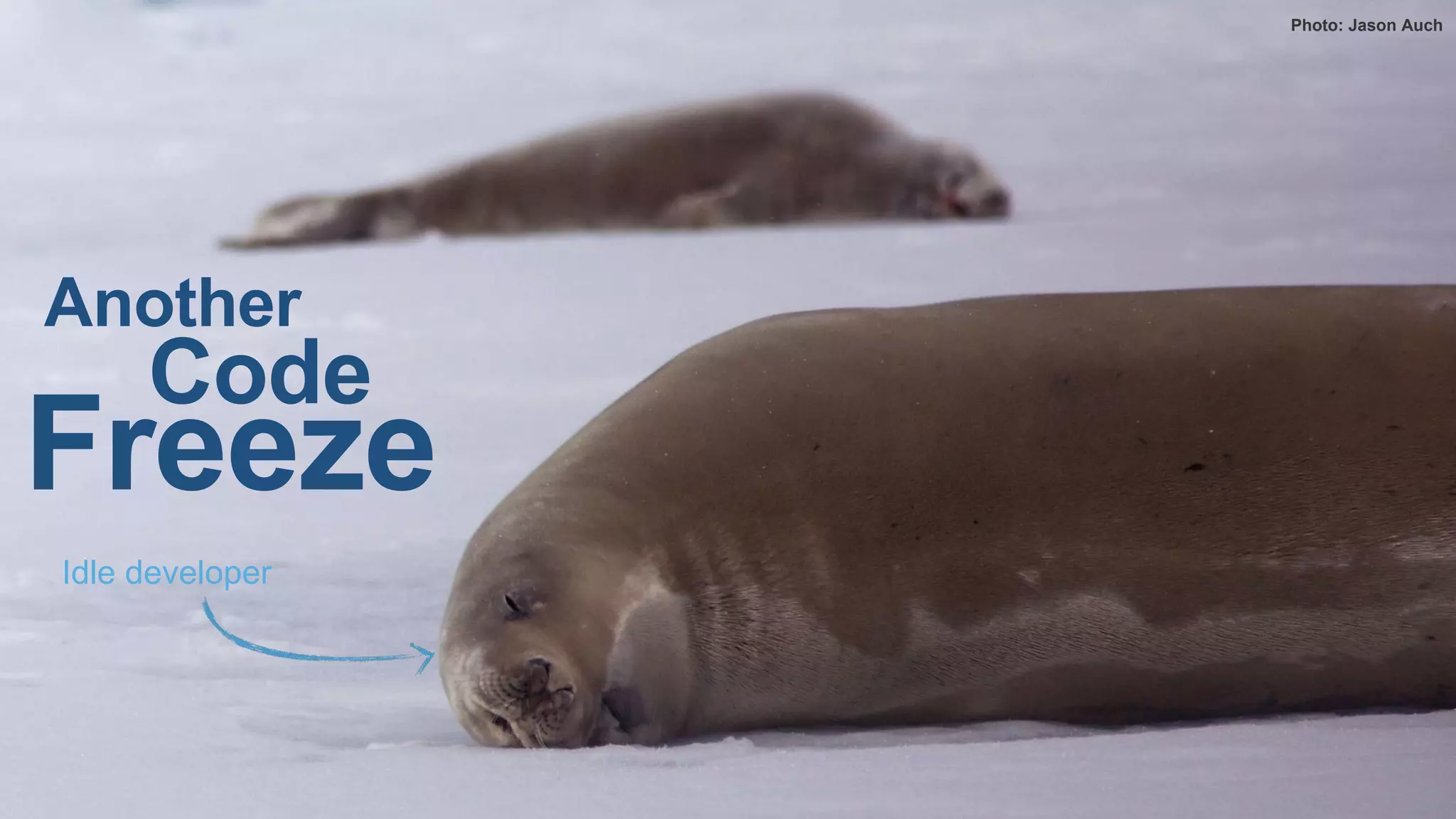 Code freezes suck
Photo: LA (Phot) Kelly Whybrow / MOD
Code
Freeze
Photo: Jason Auch
Code
Freeze
Idle developer
Another
 