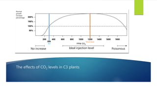 The effects of CO2 levels in C3 plants
Normal
growth
increase
percentage
Air
No increase Ideal injection level Poisonous
M...
