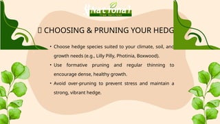 Ultimate Guide to Hedge Maintenance and Trimming | PPTX