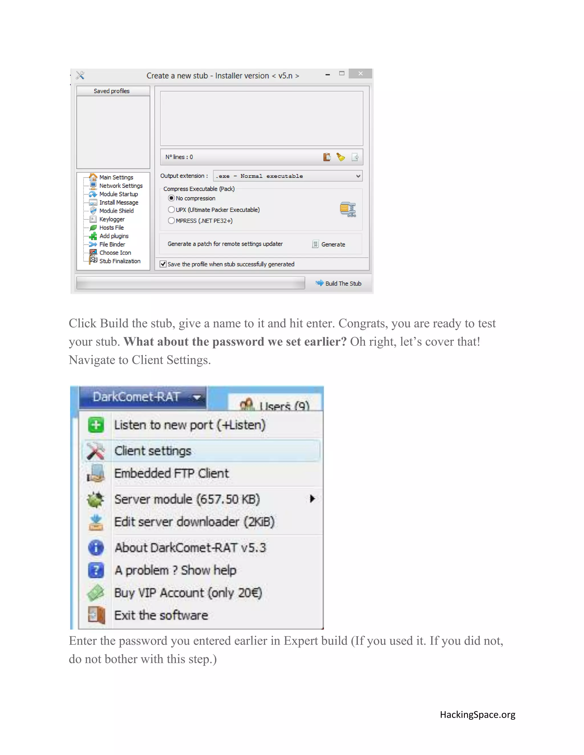 Click Build the stub, give a name to it and hit enter. Congrats, you are ready to test
your stub. What about the password we set earlier? Oh right, let’s cover that!
Navigate to Client Settings.

Enter the password you entered earlier in Expert build (If you used it. If you did not,
do not bother with this step.)

HackingSpace.org

 