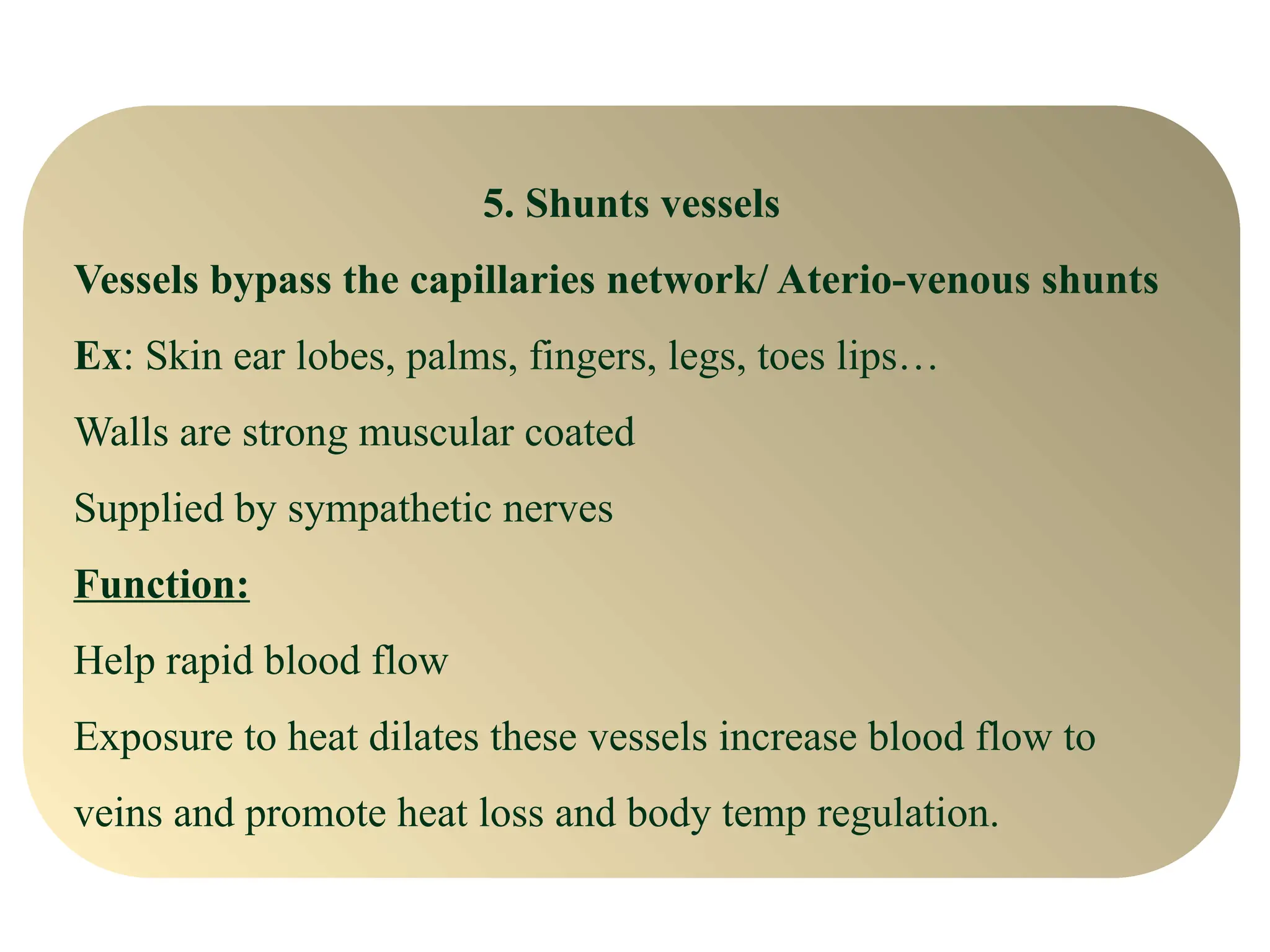 5. Shunts vessels
Vessels bypass the capillaries network/ Aterio-venous shunts
Ex: Skin ear lobes, palms, fingers, legs, toes lips…
Walls are strong muscular coated
Supplied by sympathetic nerves
Function:
Help rapid blood flow
Exposure to heat dilates these vessels increase blood flow to
veins and promote heat loss and body temp regulation.
 