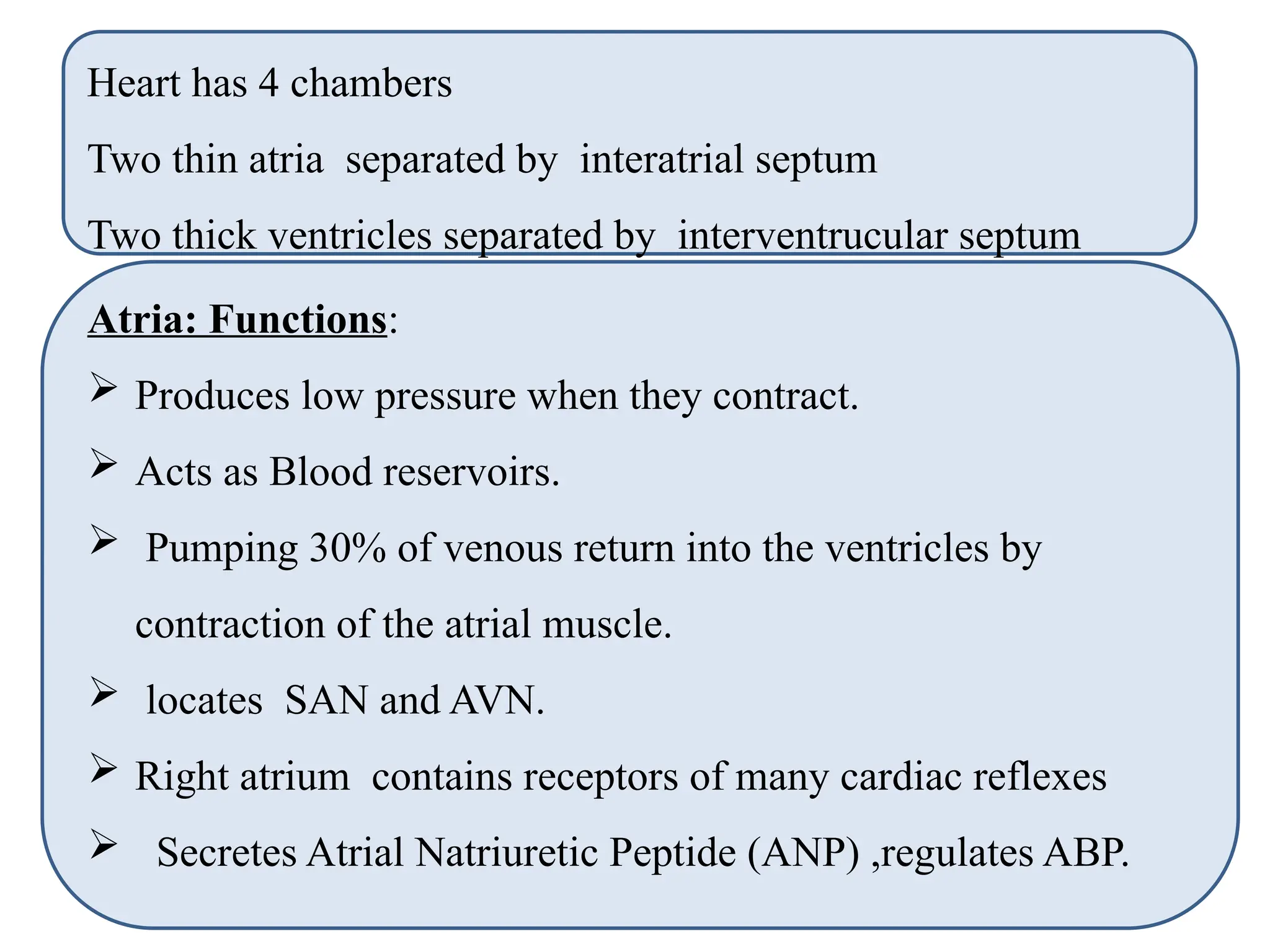 Heart has 4 chambers
Two thin atria separated by interatrial septum
Two thick ventricles separated by interventrucular septum
Atria: Functions:
 Produces low pressure when they contract.
 Acts as Blood reservoirs.
 Pumping 30% of venous return into the ventricles by
contraction of the atrial muscle.
 locates SAN and AVN.
 Right atrium contains receptors of many cardiac reflexes
 Secretes Atrial Natriuretic Peptide (ANP) ,regulates ABP.
 