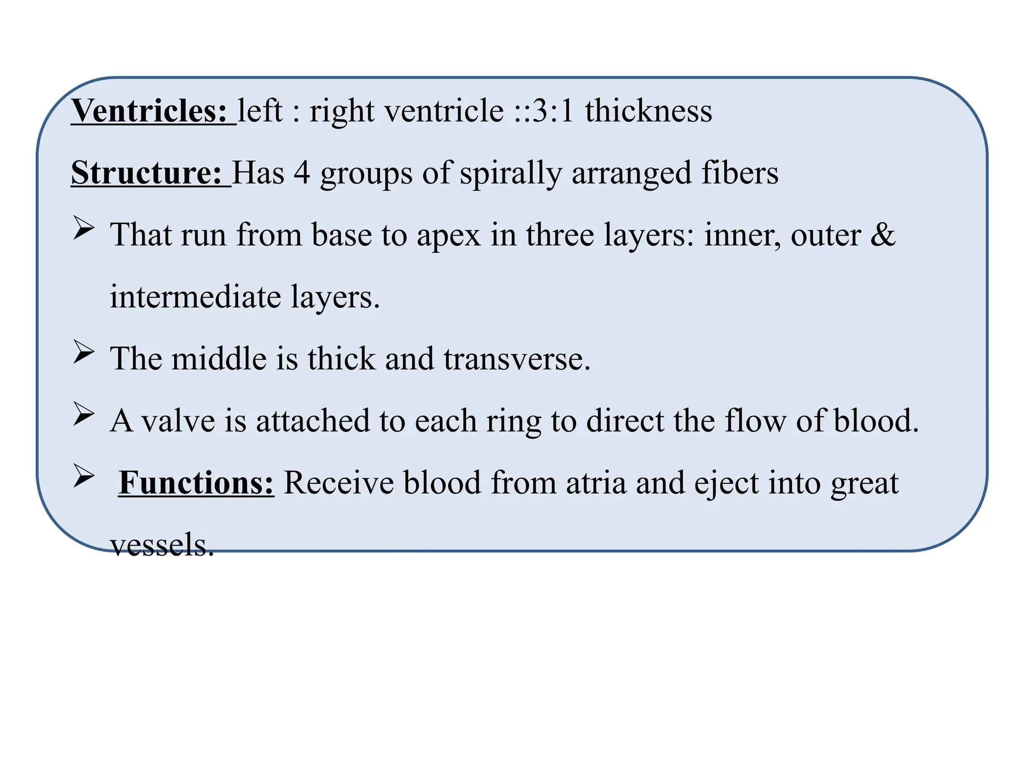 Ventricles: left : right ventricle ::3:1 thickness
Structure: Has 4 groups of spirally arranged fibers
 That run from base to apex in three layers: inner, outer &
intermediate layers.
 The middle is thick and transverse.
 A valve is attached to each ring to direct the flow of blood.
 Functions: Receive blood from atria and eject into great
vessels.
 