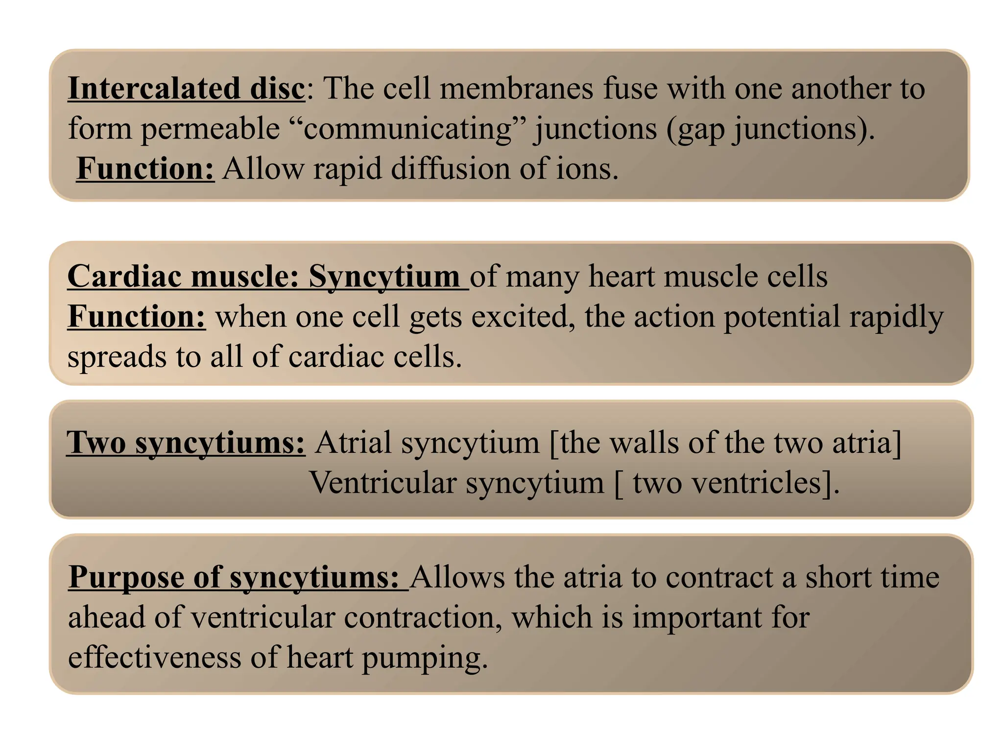 Intercalated disc: The cell membranes fuse with one another to
form permeable “communicating” junctions (gap junctions).
Function: Allow rapid diffusion of ions.
Cardiac muscle: Syncytium of many heart muscle cells
Function: when one cell gets excited, the action potential rapidly
spreads to all of cardiac cells.
Two syncytiums: Atrial syncytium [the walls of the two atria]
Ventricular syncytium [ two ventricles].
Purpose of syncytiums: Allows the atria to contract a short time
ahead of ventricular contraction, which is important for
effectiveness of heart pumping.
 