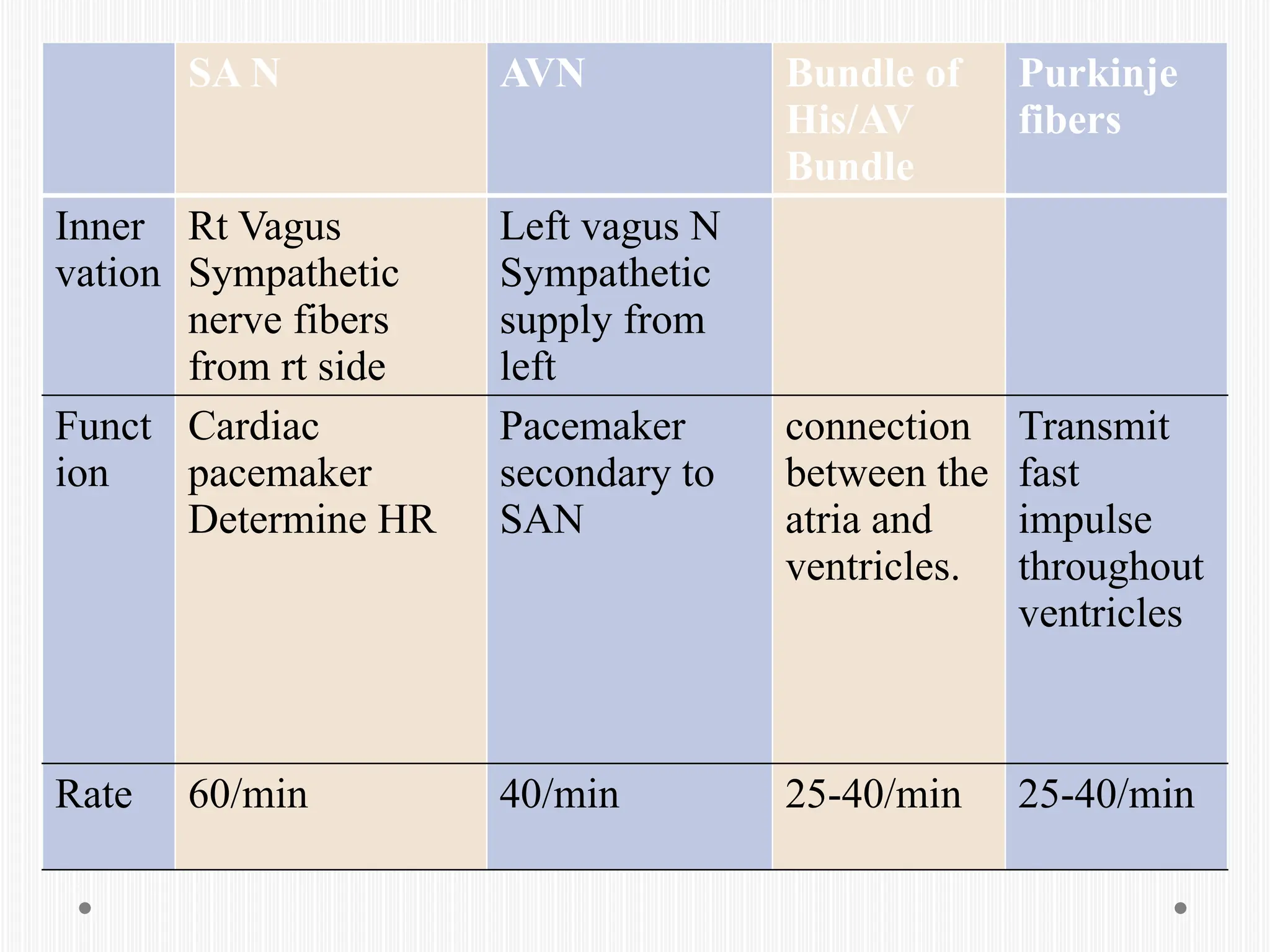 SA N AVN Bundle of
His/AV
Bundle
Purkinje
fibers
Inner
vation
Rt Vagus
Sympathetic
nerve fibers
from rt side
Left vagus N
Sympathetic
supply from
left
Funct
ion
Cardiac
pacemaker
Determine HR
Pacemaker
secondary to
SAN
connection
between the
atria and
ventricles.
Transmit
fast
impulse
throughout
ventricles
Rate 60/min 40/min 25-40/min 25-40/min
 