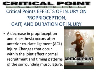Critical Points EFFECTS OF INJURY ON
PROPRIOCEPTION,
GAIT, AND DURATION OF INJURY
• A decrease in proprioception
and kinesthesia occurs after
anterior cruciate ligament (ACL)
injury. Changes that occur
within the joint affect normal
recruitment and timing patterns
of the surrounding musculature.
 