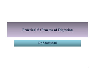 Practical 5 :Process of Digestion
Dr Shamshad
1
 