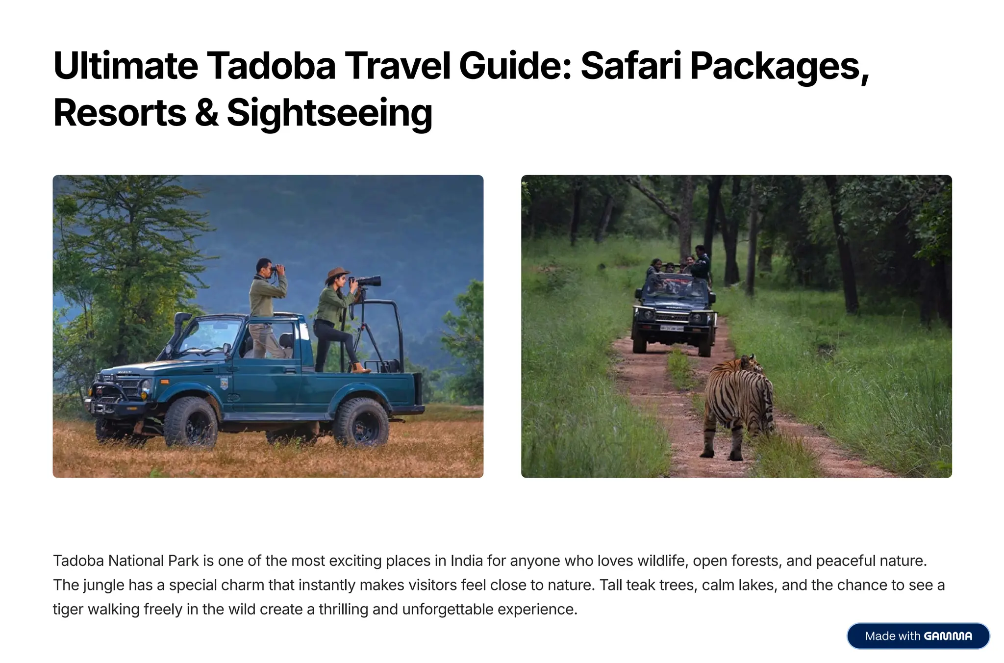 ultimate tadoba travel guide safari packages, resorts and sightseeing.pdf