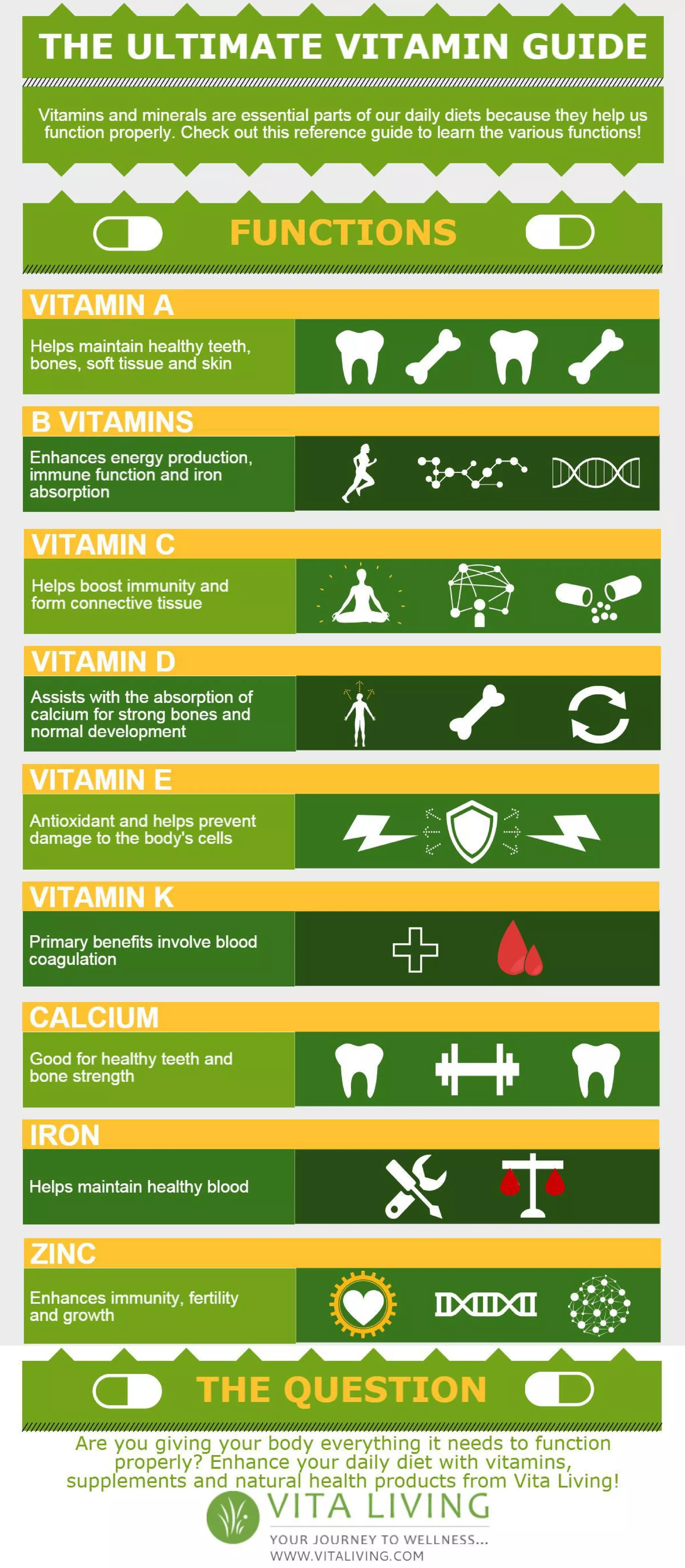 Unlock Your Pituitary'S Potential: The Ultimate Vitamin Guide - 5381y9g