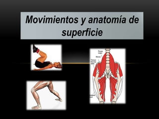 Movimientos y anatomía de
superficie
 