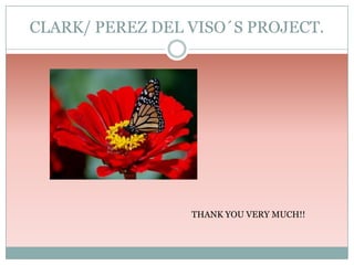 CLARK/ PEREZ DEL VISO´S PROJECT.

THANK YOU VERY MUCH!!

 