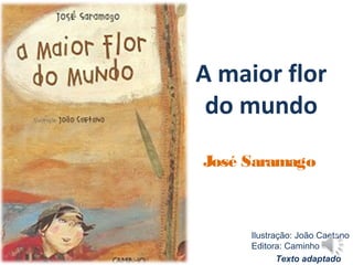 A maior flor
do mundo
José Saramago
Ilustração: João Caetano
Editora: Caminho
Texto adaptado
 