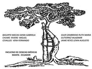 BASURTO MACIAS GEMA GABRIELA
CHUMO RIVERO MIGUEL
CEVALLOS VERA FERNANDO
GILER ZAMBRANO RUTH MARIA
GUTIERREZ WLADIMIR
JAIME REYES LENIN AUGUSTO
FACULTAD DE CIENCIAS MÉDICAS
MANTA - ECUADOR
 