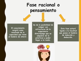 Fase racional o
pensamiento
Se da la posibilidad de
romper con
estructuras de la
experiencia
directa(algo que se
adquiere de la
práctica) y poder
llegar a la razón.
Esta fase estará
ligada a la facultad
que posee el hombre
de inducción y
deducción.
El conocimiento
surgirá como
resultado de la
capacidad que tiene
el hombre de inferir. https://ar.pngtree.com/freepng/cartoon-beauty-brain-thinking-image_2189022.html
 