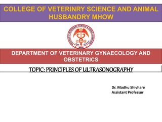 TOPIC: PRINCIPLES OF ULTRASONOGRAPHY
COLLEGE OF VETERINRY SCIENCE AND ANIMAL
HUSBANDRY MHOW
DEPARTMENT OF VETERINARY GYNAECOLOGY AND
OBSTETRICS
Dr. Madhu Shivhare
Assistant Professor
 