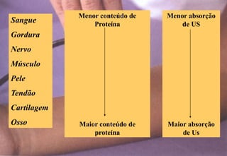 Sangue
Gordura
Nervo
Músculo
Pele
Tendão
Cartilagem
Osso
Menor conteúdo de
Proteína
Maior conteúdo de
proteína
Menor absorção
de US
Maior absorção
de Us
 