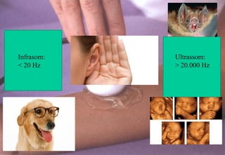 Infrasom:
< 20 Hz
Ultrassom:
> 20.000 Hz
 