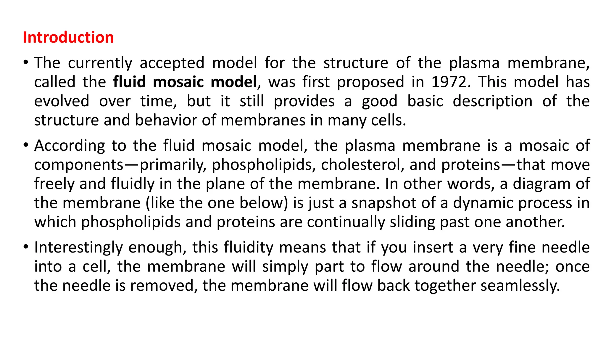 Structure And Functions Of Plasma Membrane
