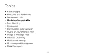 Topics
• Key Concepts
• Endpoints and Addresses
• Deployment Units
• Mediation Support APIs
• Error Handling
• Interceptors
• Conﬁguration Externalization
• Invoke an Asynchronous Flow
• Usage of Message Files
• UltraESB Clustering
• Metrics and Alerting
• Monitoring and Management
• EMW Framework
12
 