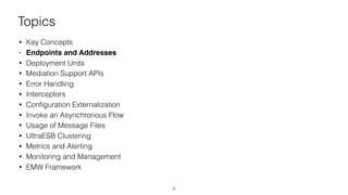 Topics
• Key Concepts
• Endpoints and Addresses
• Deployment Units
• Mediation Support APIs
• Error Handling
• Interceptors
• Conﬁguration Externalization
• Invoke an Asynchronous Flow
• Usage of Message Files
• UltraESB Clustering
• Metrics and Alerting
• Monitoring and Management
• EMW Framework
4
 