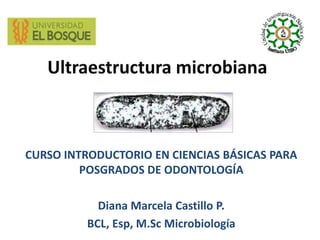 Ultraestructuramicrobiana CURSO INTRODUCTORIO EN CIENCIAS BÁSICAS PARA POSGRADOS DE ODONTOLOGÍA Diana Marcela Castillo P. BCL, Esp, M.Sc Microbiología 