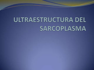 ULTRAESTRUCTURA DEL SARCOPLASMA 
