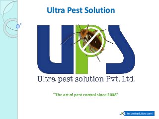 Ultra Pest Solution
ultrapestsolution.com/
"The art of pest control since 2008"
 