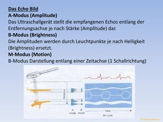 Das Echo Bild 
A-Modus (Amplitude) 
Das Ultraschallgerät stellt die empfangenen Echos entlang der 
Entfernungsachse je nach Stärke (Amplitude) dar. 
B-Modus (Brightness) 
Die Amplituden werden durch Leuchtpunkte je nach Helligkeit 
(Brightness) ersetzt. 
M-Modus (Motion) 
B-Modus Darstellung entlang einer Zeitachse (1 Schallrichtung) 
© Michael Wolrab 
 