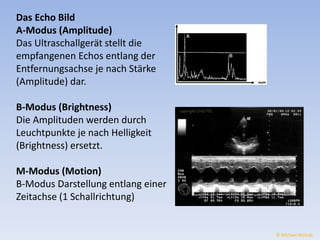 Das Echo Bild 
A-Modus (Amplitude) 
Das Ultraschallgerät stellt die 
empfangenen Echos entlang der 
Entfernungsachse je nach Stärke 
(Amplitude) dar. 
B-Modus (Brightness) 
Die Amplituden werden durch 
Leuchtpunkte je nach Helligkeit 
(Brightness) ersetzt. 
M-Modus (Motion) 
B-Modus Darstellung entlang einer 
Zeitachse (1 Schallrichtung) 
© Michael Wolrab 
 